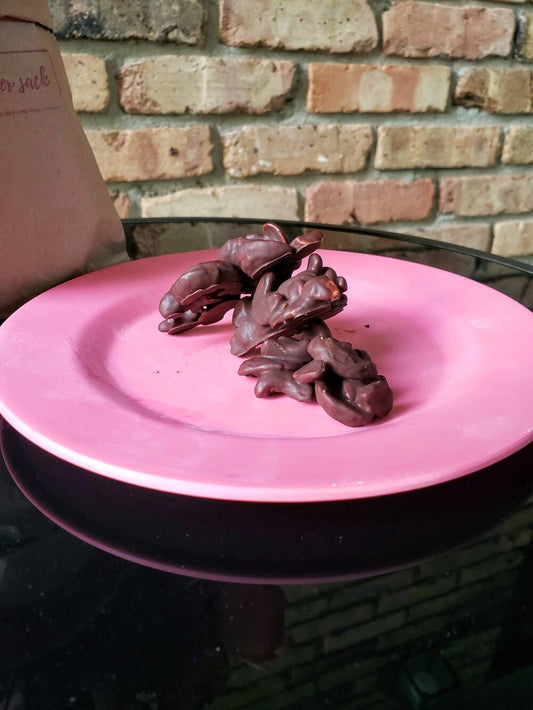 Milk Chocolate Covered Cashews